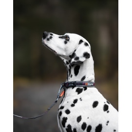 Roam Collar Orange - Non-Stop Dogwear