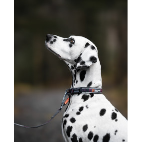 Roam Collar Sort - Non-Stop Dogwear