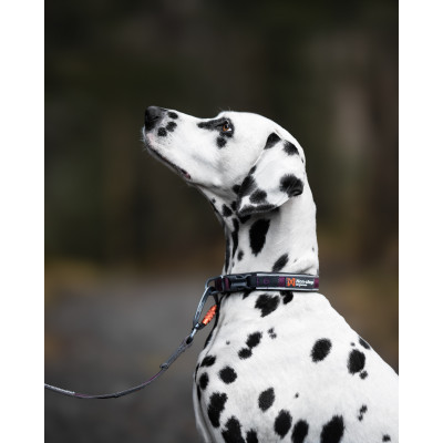 Roam Collar Orange - Non-Stop Dogwear
