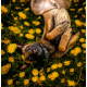 Roam CollarOrange - Non-Stop Dogwear