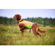 Protector round long line - Non-Stop Dogwear