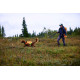 Protector round long line - Non-Stop Dogwear