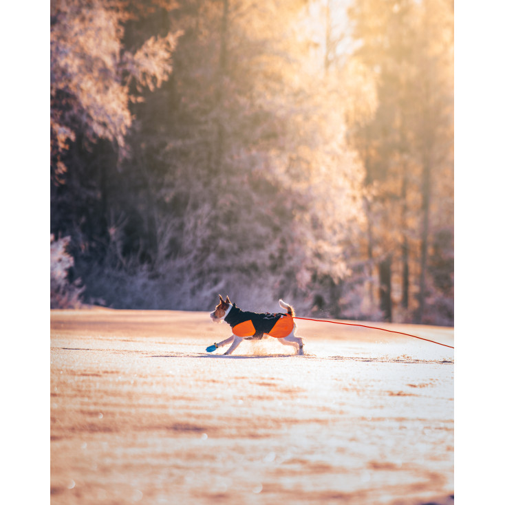 Protector round long line - Non-Stop Dogwear