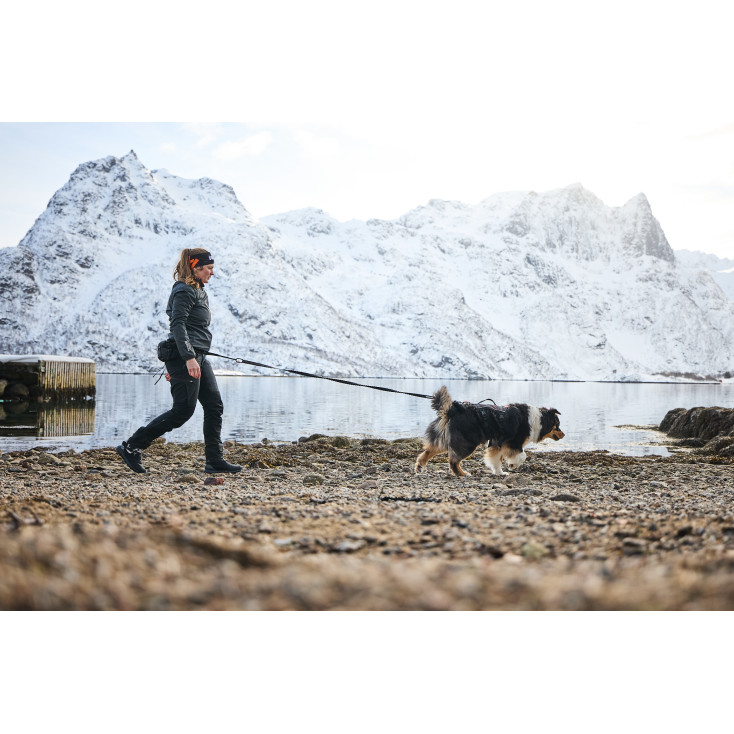 Touring Bungee Adjustable - Non-Stop Dogwear