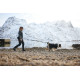 Touring Bungee Adjustable - Non-Stop Dogwear