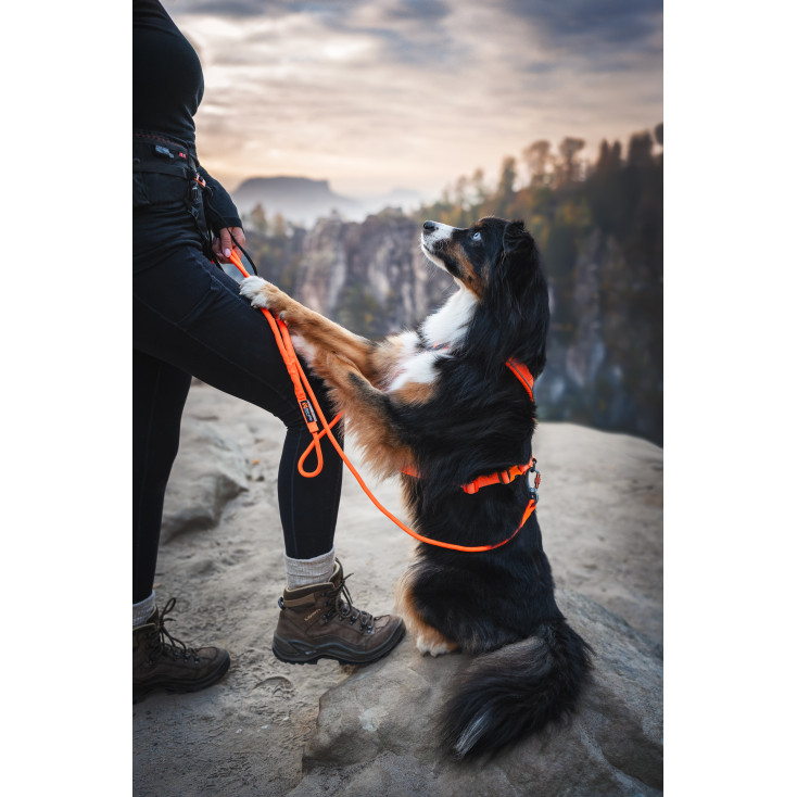 Trekking Rope Leash - Non-Stop Dogwear