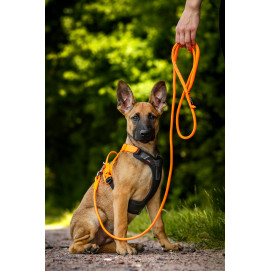 Trekking Rope Leash - Non-Stop Dogwear