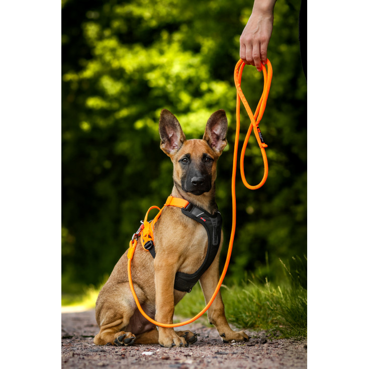 Trekking Rope Leash - Non-Stop Dogwear