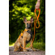 Trekking Rope Leash - Non-Stop Dogwear