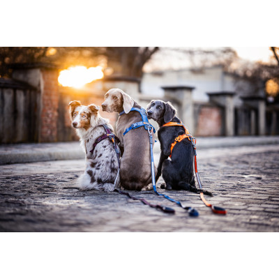Move Leash size 1.5m/15mm - vælg farve - Non-Stop Dogwear