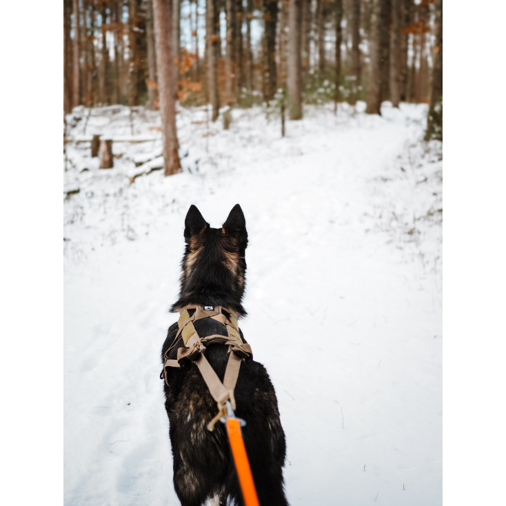 Freemotion Harness  5.0 - Non-Stop Dogwear
