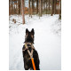 Freemotion Harness  5.0 - Non-Stop Dogwear