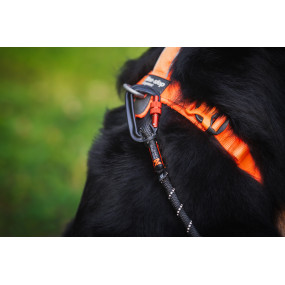 Line Harness 5.0 Orange - Non-Stop Dogwear