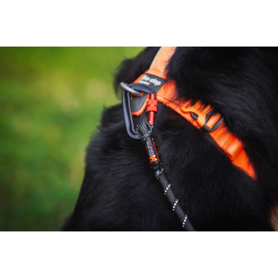 Line Harness 5.0 Orange - Non-Stop Dogwear