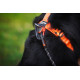 Line Harness 5.0 Orange - Non-Stop Dogwear