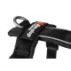 Line Harness 5.0 Orange - Non-Stop Dogwear