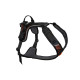 Rock Harness - Non-stop Dogwear