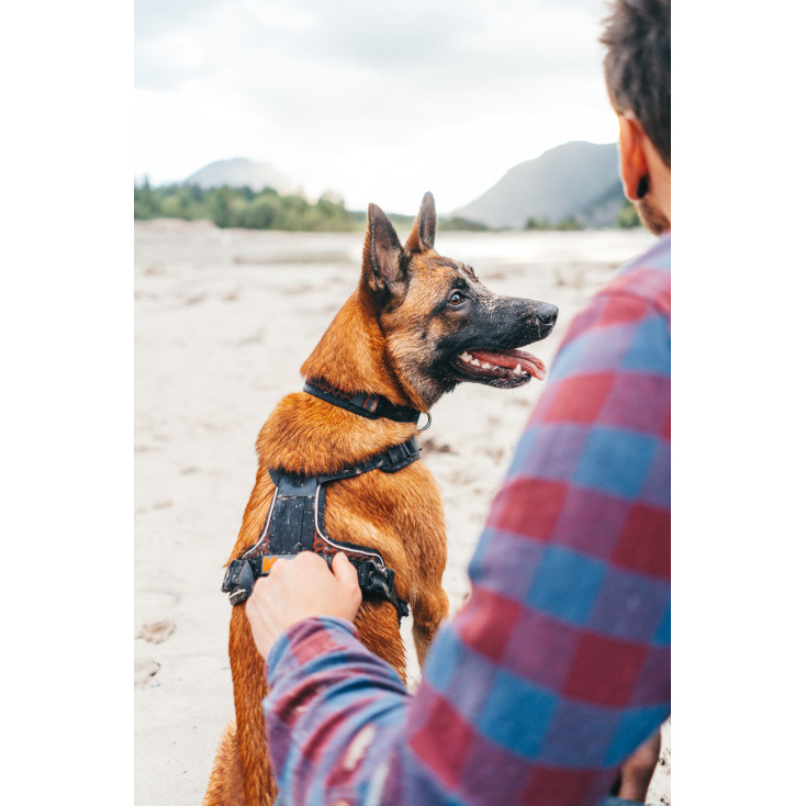 Rock Harness - Non-stop Dogwear