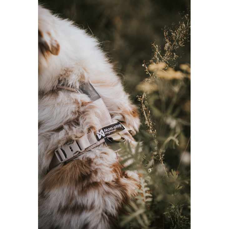 Trekking Line Harness CLIP'N - Non-Stop Dogwear