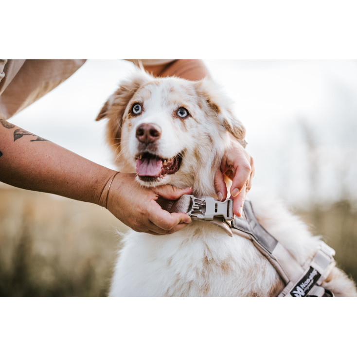 Trekking Line Harness CLIP'N - Non-Stop Dogwear