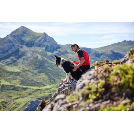 Rock Harness - Non-stop Dogwear
