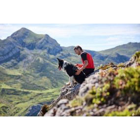 Rock Harness - Non-stop Dogwear