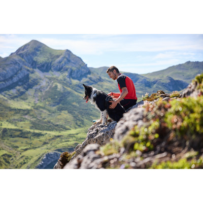 Rock Harness - Non-stop Dogwear