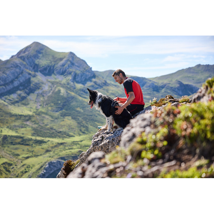 Rock Harness - Non-stop Dogwear