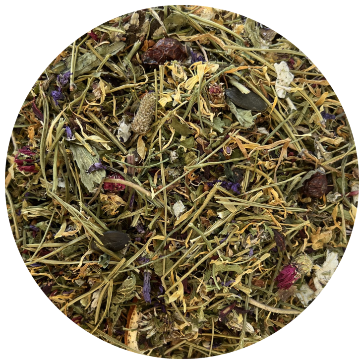 Nordic Bio Boost FW, 150 g