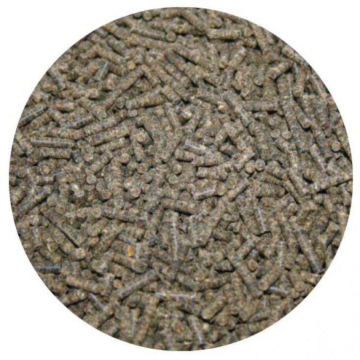 Nordic Sand Exit 12,5 kg