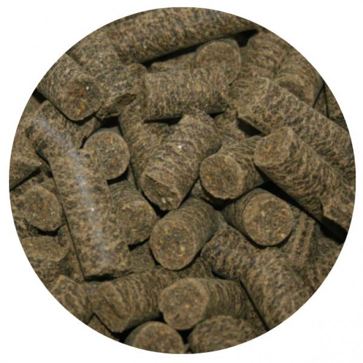 Nordic Sand Exit Sticks 12,5 kg