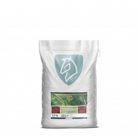 Nordic Cissus Quadrangularis 1,5 kg ReFill