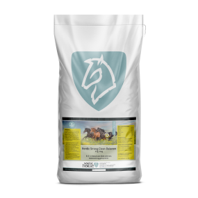 Nordic Strong Clean Balance, 9 kg