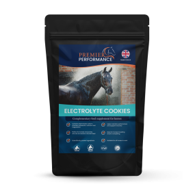 Electrolyte Cookies, 10 stk.