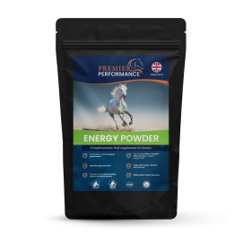 Energy Powder, 15 serveringer