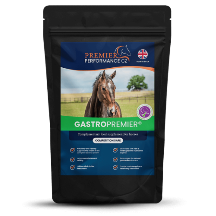 GastroPremier, 30 portioner