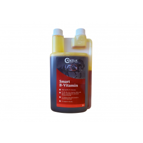 Smart B-vitamin Smart B-vitamin
