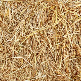 Hvedestrå-strøelse, 10 kg Hvedestrå-strøelse, 10 kg