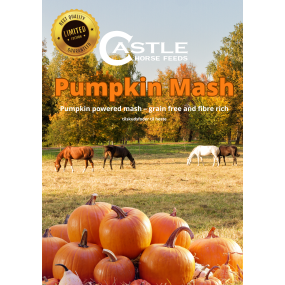 Pumpkin Mash, 10 kg (5*2 kg) Pumpkin Mash, 10 kg (5*2 kg)