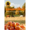 Pumpkin Mash, 10 kg