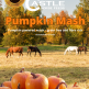 Pumpkin Mash, 10 kg