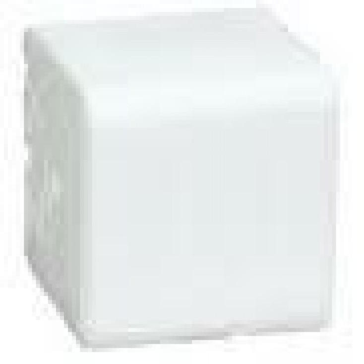 10kg saltsten til heste