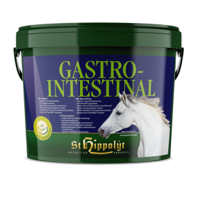 Gastrointestinal Gastrointestinal